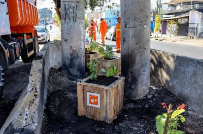 Mutirão de plantios no Rubem Berta é a segunda ação da 18ª Semana Cidade Limpa