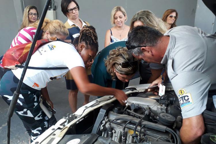 Transporte e Circulação