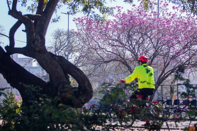 MEIO AMBIENTE E SUSTENTABILIDADE