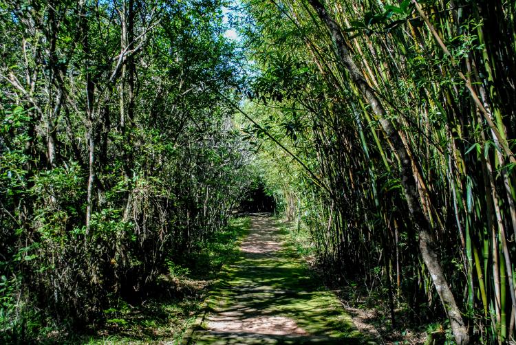 MEIO AMBIENTE E SUSTENTABILIDADE