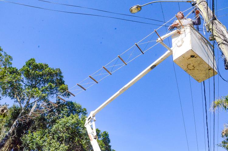 MEIO AMBIENTE E SUSTENTABILIDADE