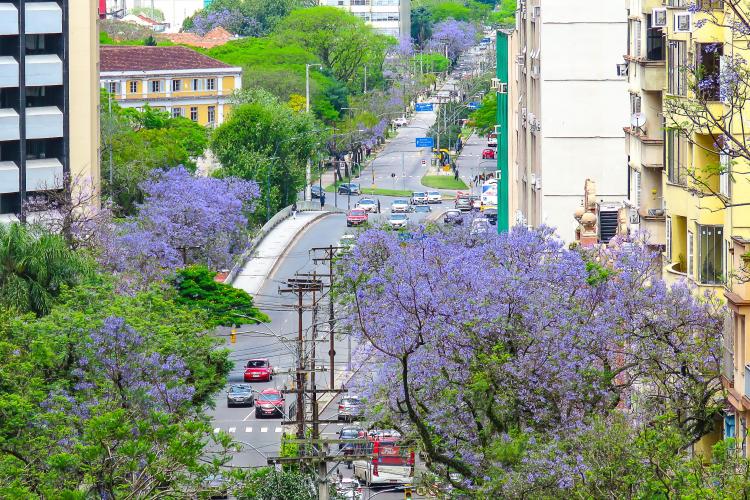 MEIO AMBIENTE E SUSTENTABILIDADE