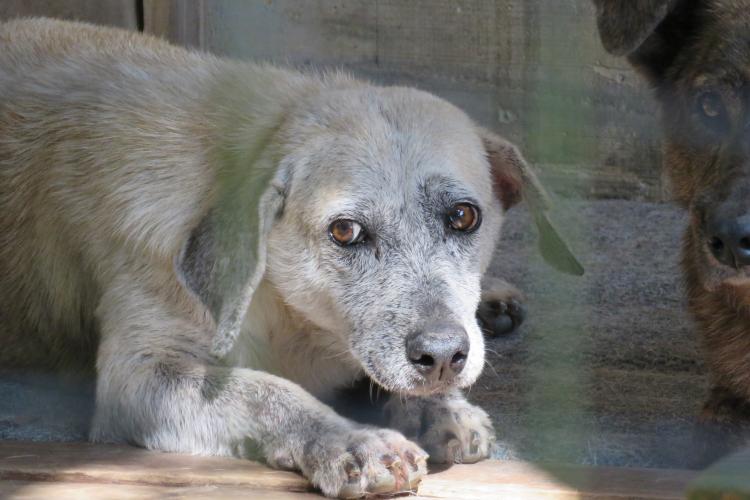 MEIO AMBIENTE E SUSTENTABILIDADE