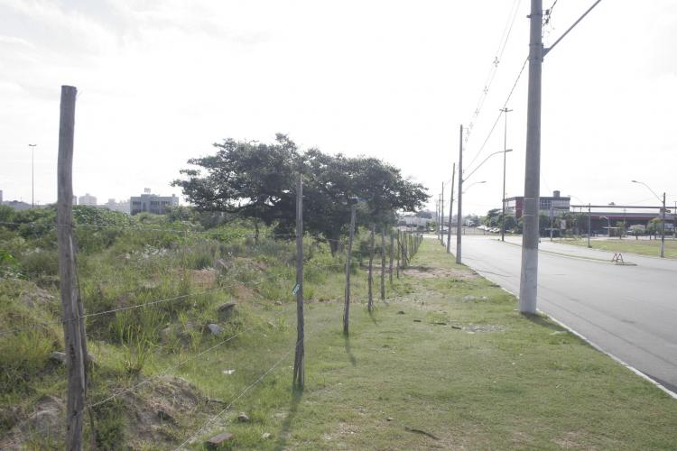 FAZENDA