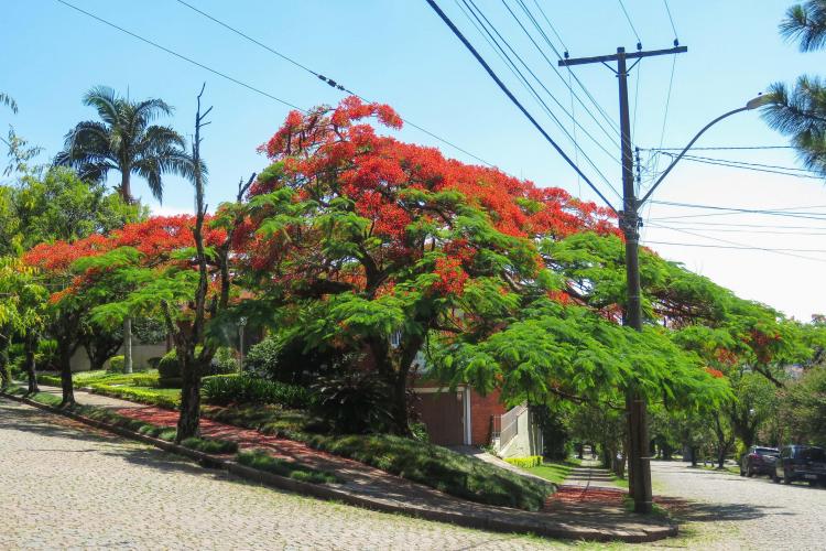 MEIO AMBIENTE E SUSTENTABILIDADE