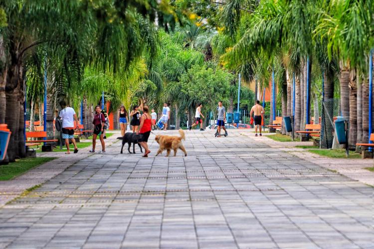 MEIO AMBIENTE E SUSTENTABILIDADE 