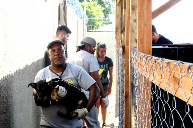MEIO AMBIENTE E SUSTENTABILIDADE 