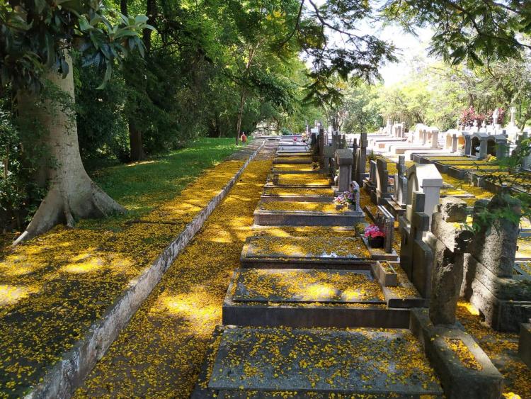 MEIO AMBIENTE E SUSTENTABILIDADE