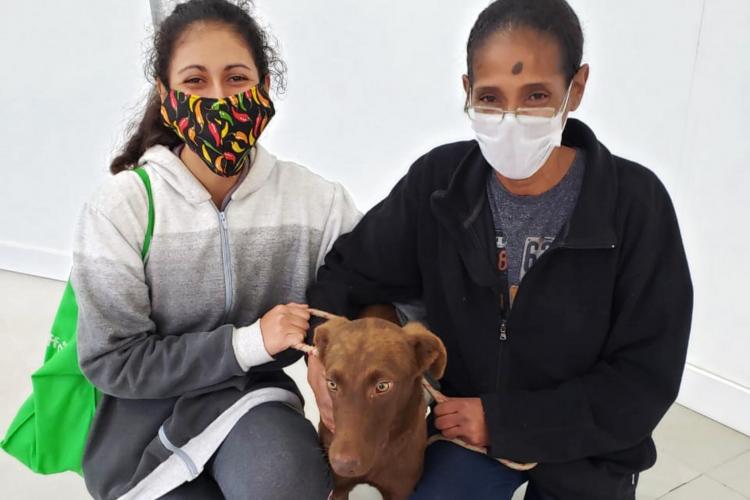 MEIO AMBIENTE E SUSTENTABILIDADE