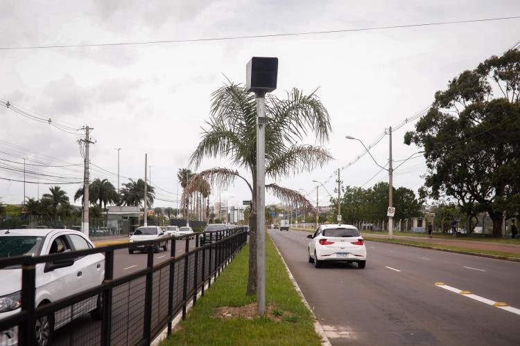 TRANSPORTE E CIRCULAÇÃO