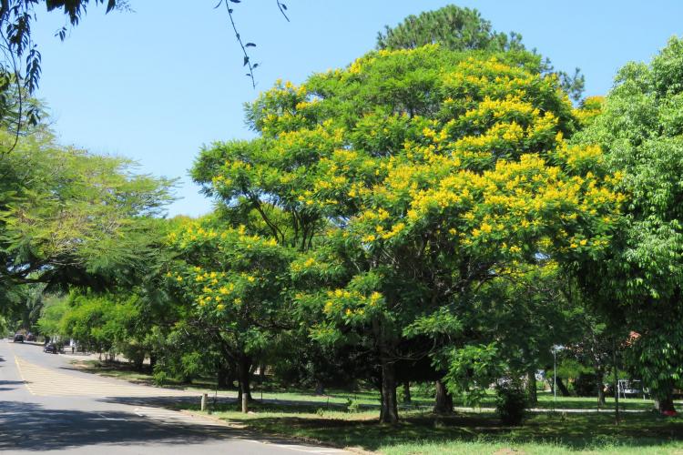 MEIO AMBIENTE E SUSTENTABILIDADE