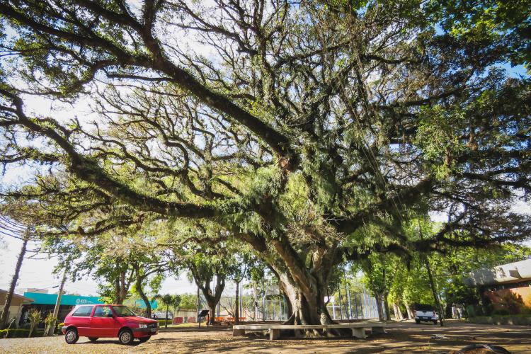 Meio Ambiente, Urbanismo e Sustentabilidade 