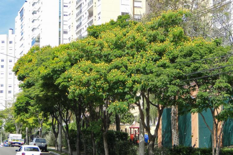 Meio Ambiente, Urbanismo e Sustentabilidade