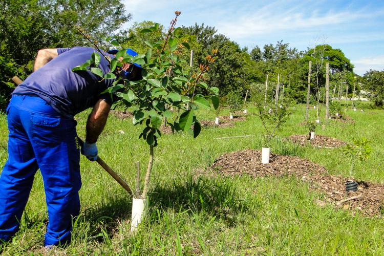 Meio Ambiente, Urbanismo e Sustentabilidade