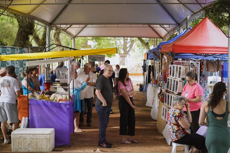 Governança Local e Coordenação Política 