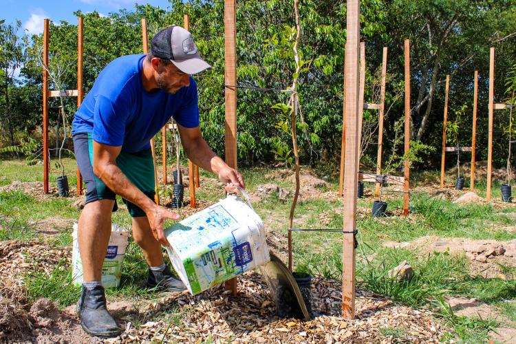 Meio Ambiente, Urbanismo e Sustentabilidade