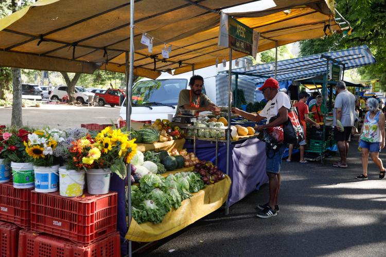 Governança Local e Coordenação Política