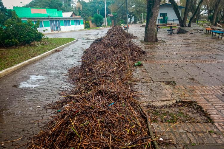 SERVIÇOS URBANOS