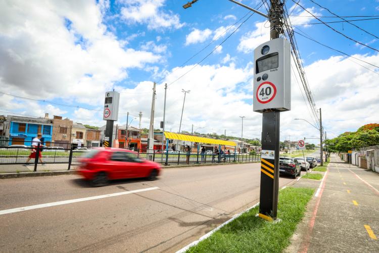 Transporte e Circulação 