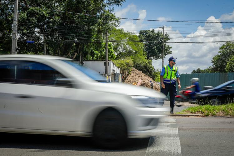 Transporte e Circulação 