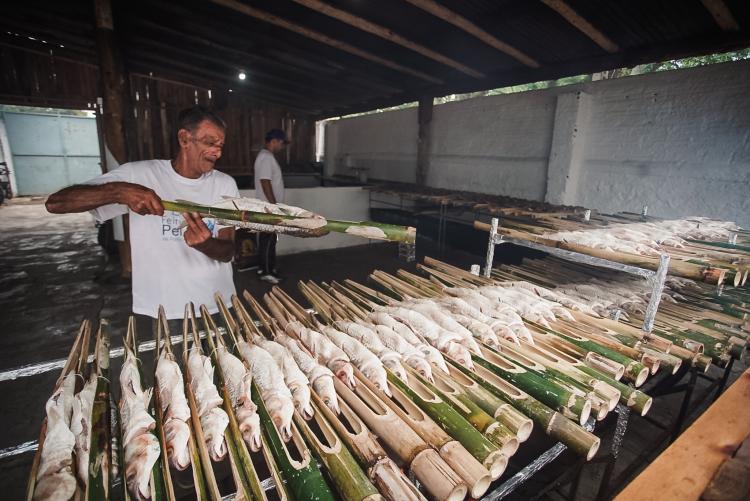 Feira do Peixe - Colônia Z5