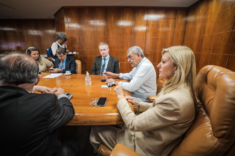 Executivo