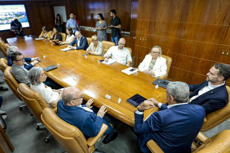EXECUTIVO