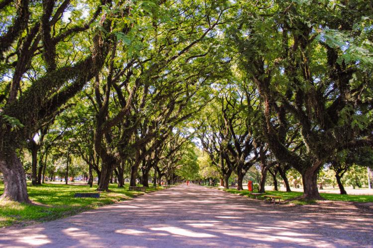 Meio Ambiente, Urbanismo e Sustentabilidade