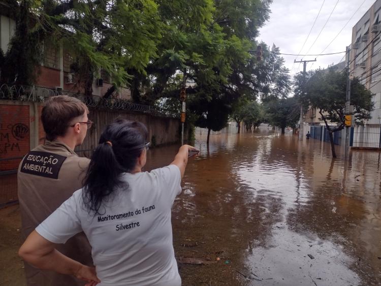 Rede de biólogos monitora áreas inundadas em busca de animais silvestres