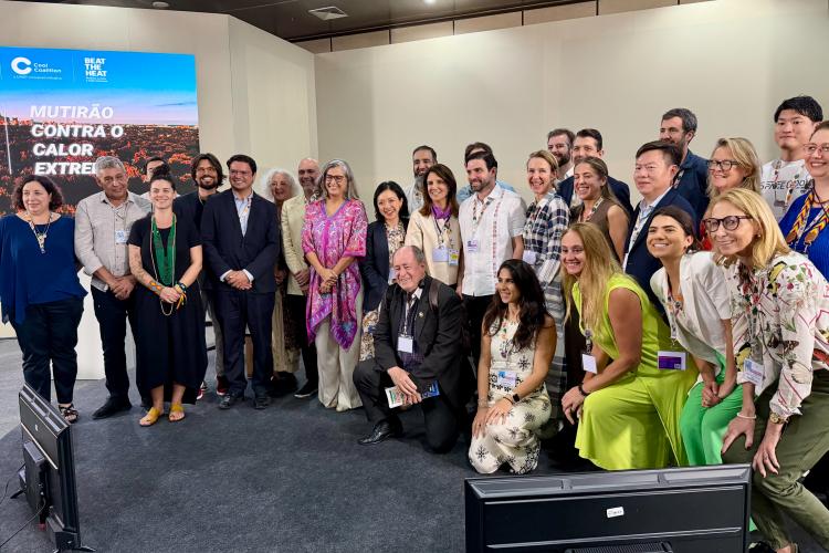 Porto Alegre investe em energia limpa e arborização para combater o calor extremo