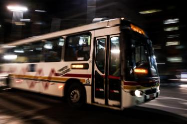 Transporte e Circulação