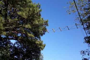 Meio Ambiente e Sustentabilidade