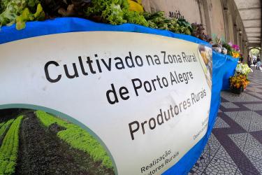Desenvolvimento Econômico