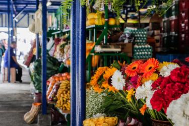 Desenvolvimento Econômico