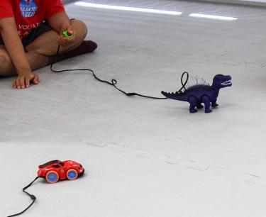 DESENVOLVIMENTO SOCIAL E ESPORTE