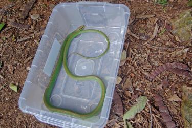 MEIO AMBIENTE E SUSTENTABILIDADE