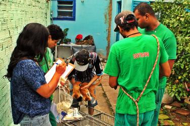 Meio Ambiente e Sustentabilidade