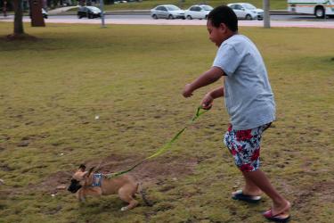 0 menino Henrique pode brincar com seu futuro cãozinho antes da adoção. MEIO AMBIENTE E SUSTENTABILIDADE