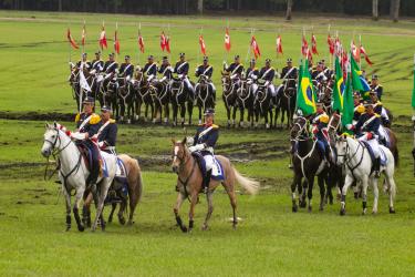 EXECUTIVO