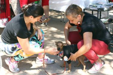 MEIO AMBIENTE E SUSTENTABILIDADE MEIO AMBIENTE E SUSTENTABILIDADE