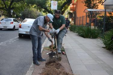 MEIO AMBIENTE E SUSTENTABILIDADE