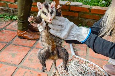 MEIO AMBIENTE E SUSTENTABILIDADE MEIO AMBIENTE E SUSTENTABILIDADE