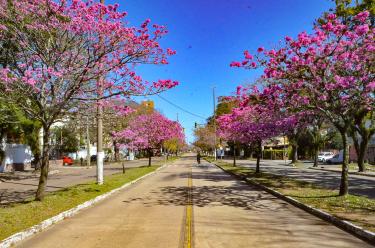 MEIO AMBIENTE E SUSTENTABILIDADE MEIO AMBIENTE E SUSTENTABILIDADE