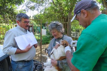 MEIO AMBIENTE E SUSTENTABILIDADE 