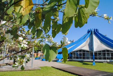 MEIO AMBIENTE E SUSTENTABILIDADE