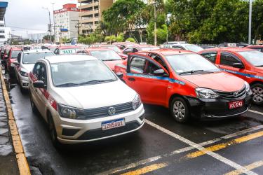 TRANSPORTE E CIRCULAÇÃO