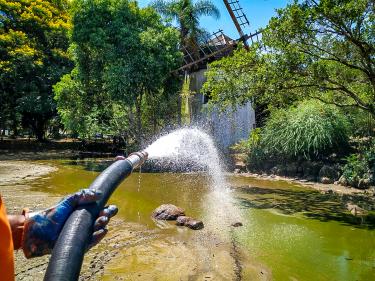 MEIO AMBIENTE E SUSTENTABILIDADE