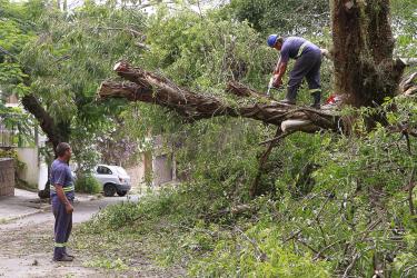 Praça São Caetano junto a rua Fernando Osório, bairro Teresópolis. SMSURB