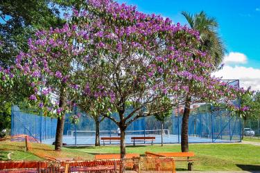 MEIO AMBIENTE E SUSTENTABILIDADE