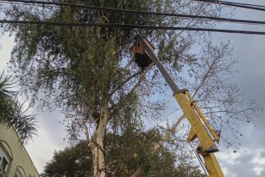 Av. Ângelo Crivelaro. SMSURB